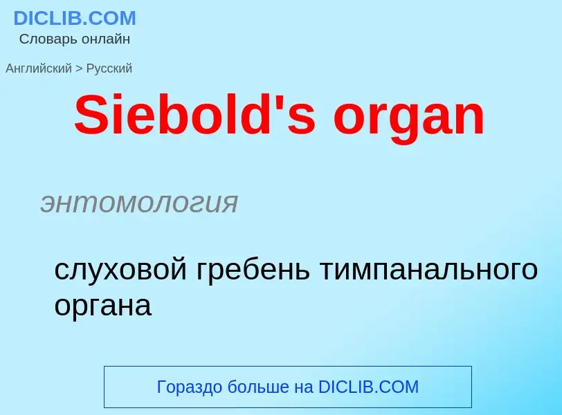 ¿Cómo se dice Siebold's organ en Ruso? Traducción de &#39Siebold's organ&#39 al Ruso