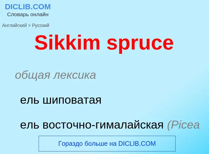 ¿Cómo se dice Sikkim spruce en Ruso? Traducción de &#39Sikkim spruce&#39 al Ruso