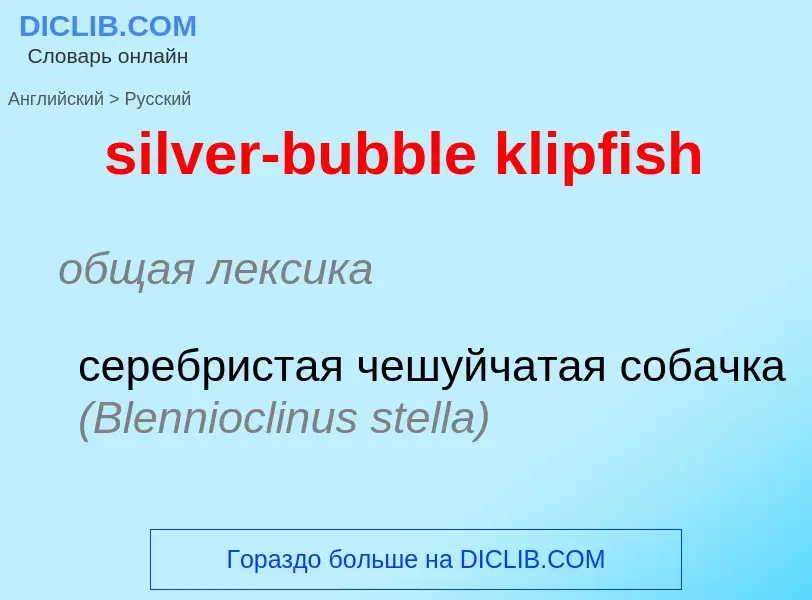 Как переводится silver-bubble klipfish на Русский язык