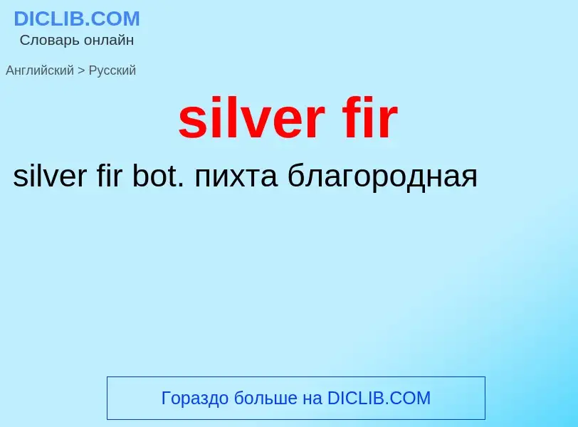 Μετάφραση του &#39silver fir&#39 σε Ρωσικά