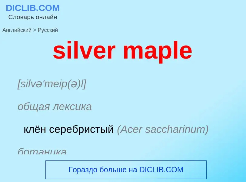 Vertaling van &#39silver maple&#39 naar Russisch