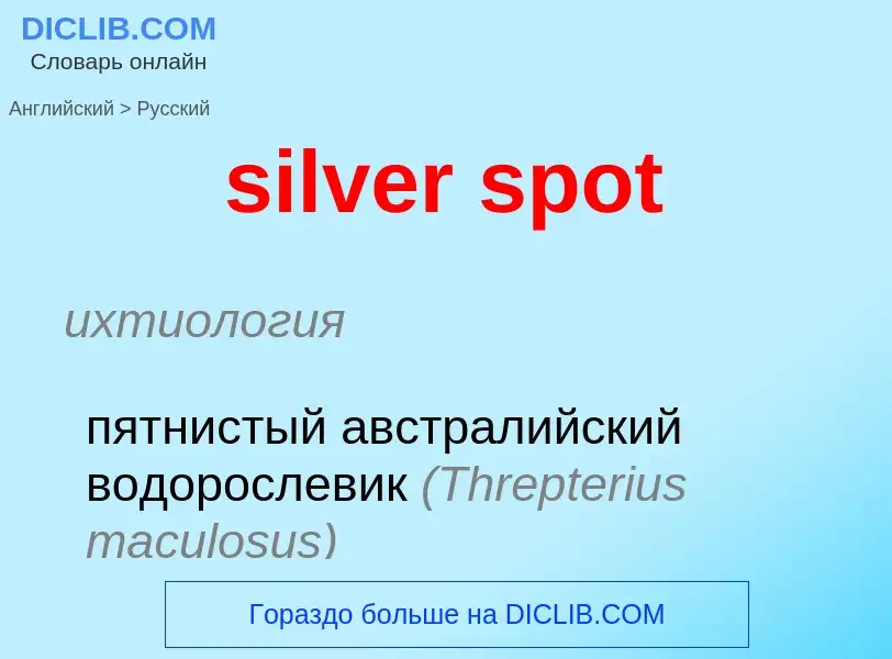 Как переводится silver spot на Русский язык