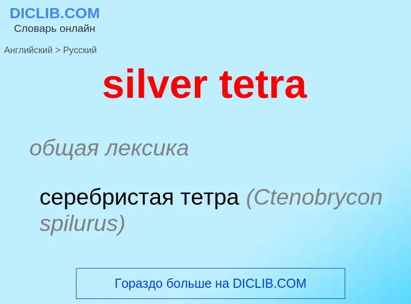 Как переводится silver tetra на Русский язык