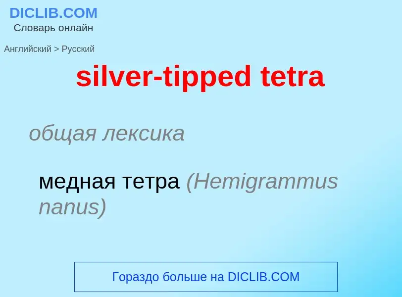 Как переводится silver-tipped tetra на Русский язык