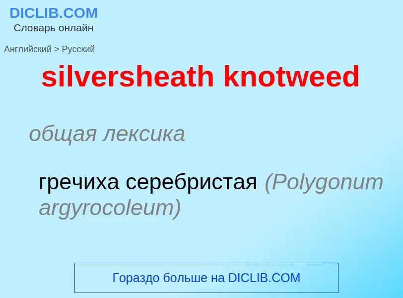 Μετάφραση του &#39silversheath knotweed&#39 σε Ρωσικά