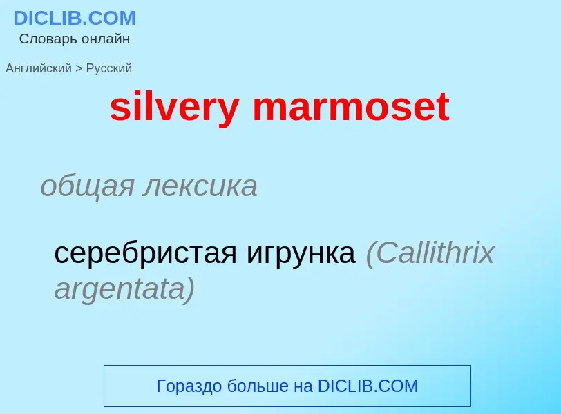 Как переводится silvery marmoset на Русский язык