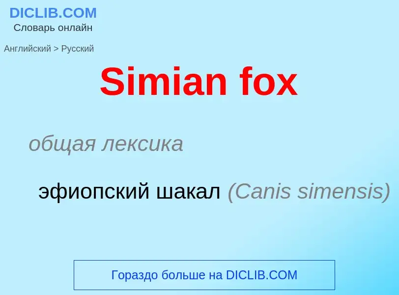 ¿Cómo se dice Simian fox en Ruso? Traducción de &#39Simian fox&#39 al Ruso