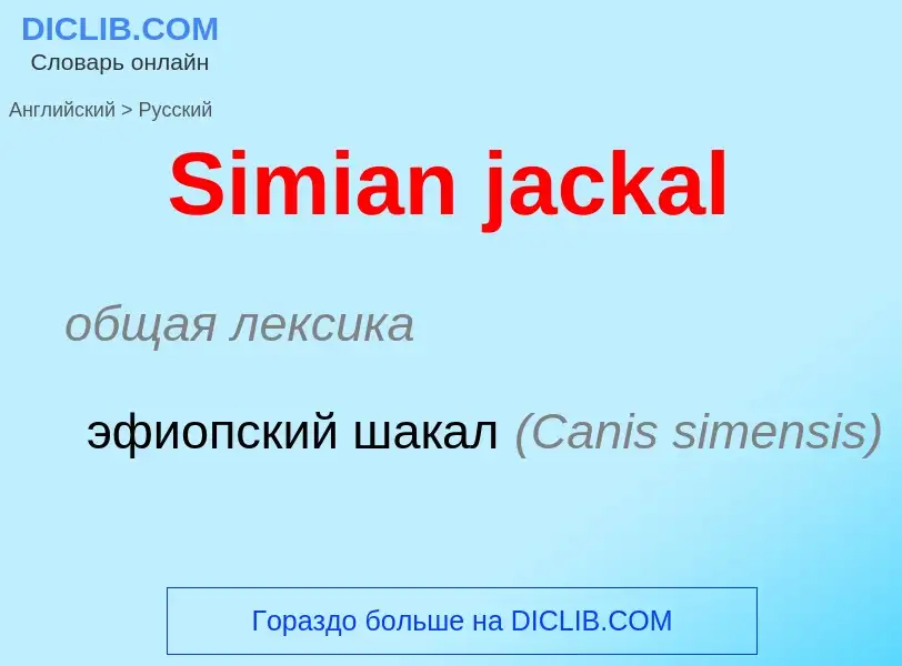 ¿Cómo se dice Simian jackal en Ruso? Traducción de &#39Simian jackal&#39 al Ruso