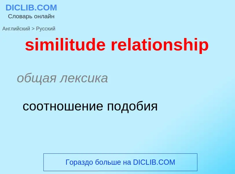 What is the Russian for similitude relationship? Translation of &#39similitude relationship&#39 to R