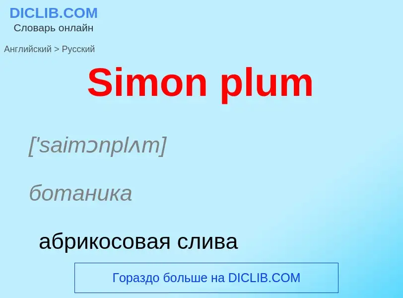 ¿Cómo se dice Simon plum en Ruso? Traducción de &#39Simon plum&#39 al Ruso