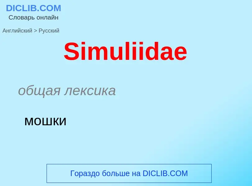 ¿Cómo se dice Simuliidae en Ruso? Traducción de &#39Simuliidae&#39 al Ruso