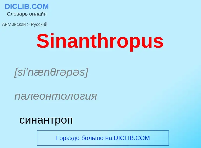 ¿Cómo se dice Sinanthropus en Ruso? Traducción de &#39Sinanthropus&#39 al Ruso