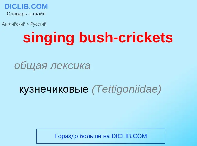 Как переводится singing bush-crickets на Русский язык