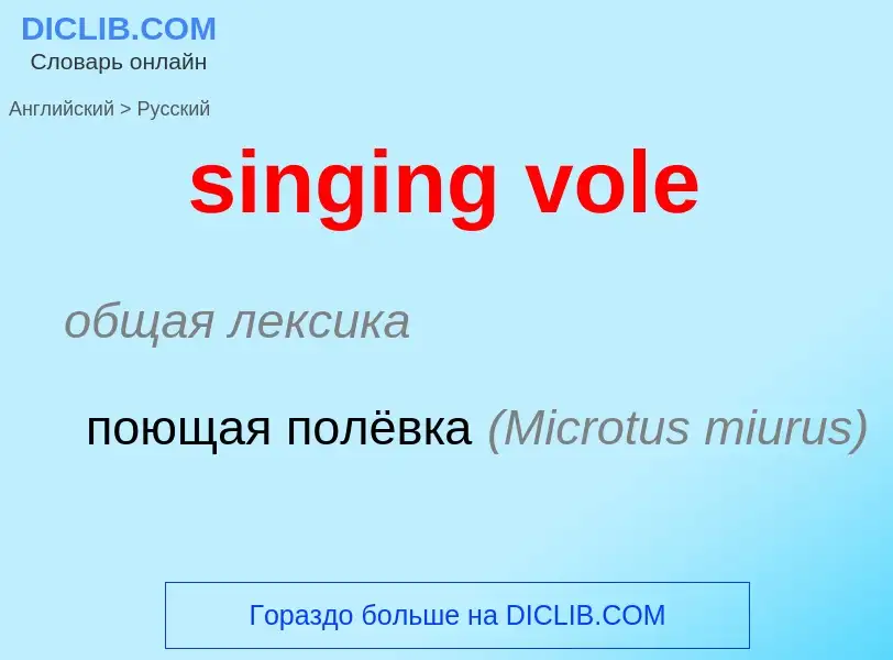 ¿Cómo se dice singing vole en Ruso? Traducción de &#39singing vole&#39 al Ruso