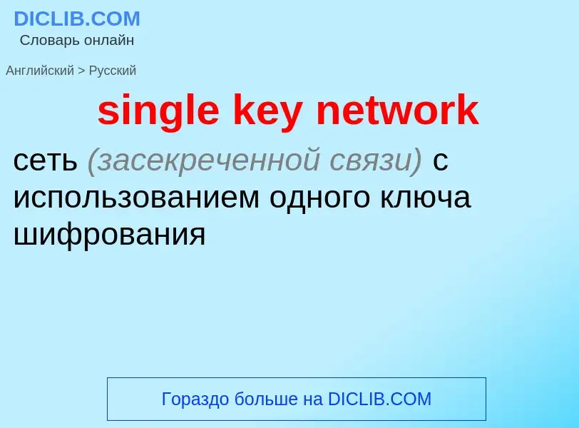 Como se diz single key network em Russo? Tradução de &#39single key network&#39 em Russo