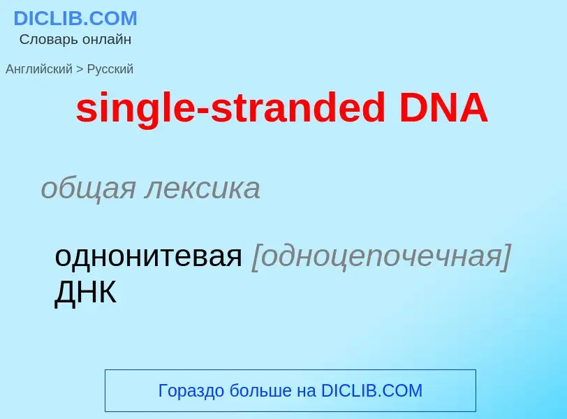 Μετάφραση του &#39single-stranded DNA&#39 σε Ρωσικά