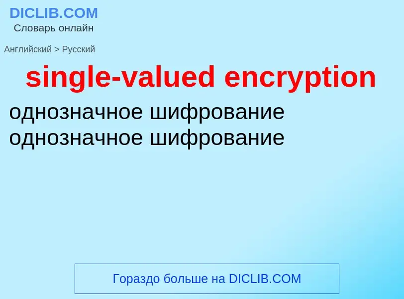 What is the Russian for single-valued encryption? Translation of &#39single-valued encryption&#39 to