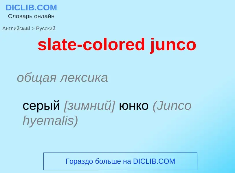 Как переводится slate-colored junco на Русский язык