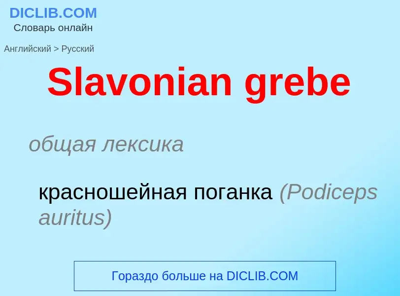 Как переводится Slavonian grebe на Русский язык