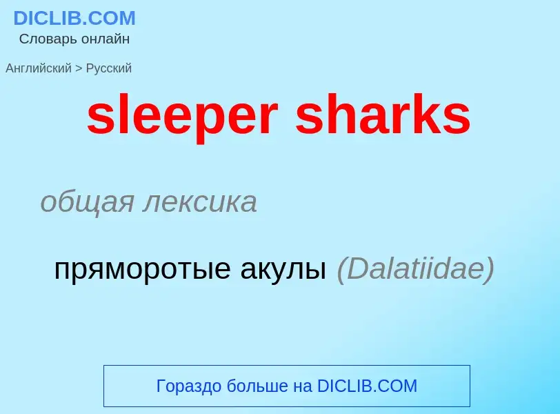 Как переводится sleeper sharks на Русский язык