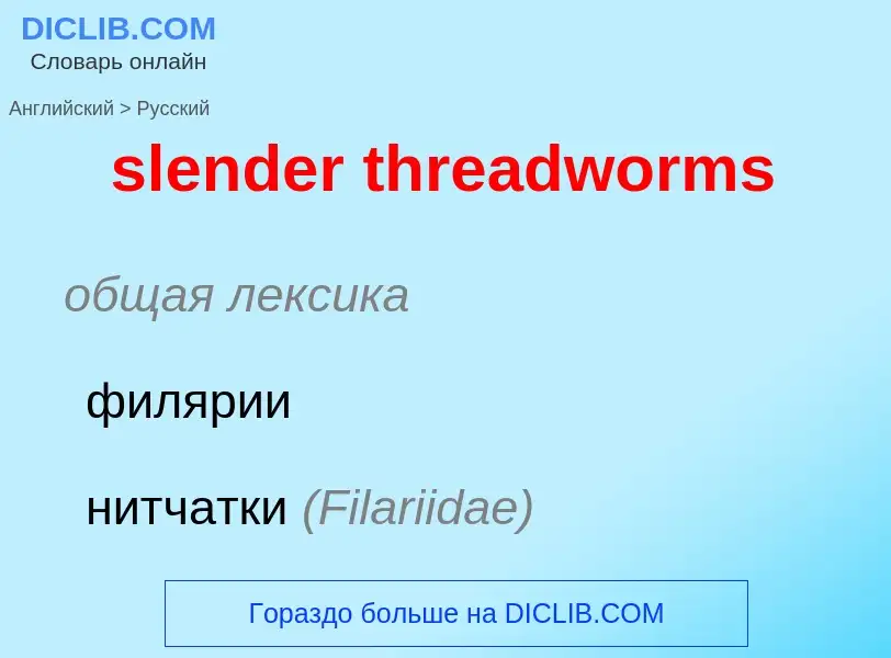 Vertaling van &#39slender threadworms&#39 naar Russisch