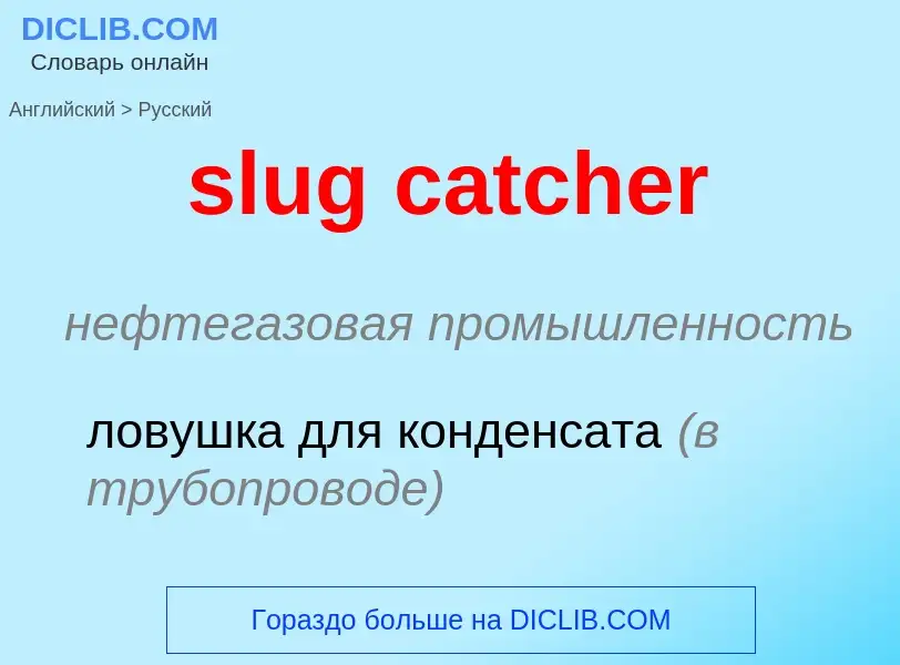 Как переводится slug catcher на Русский язык