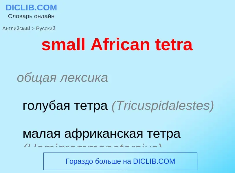 Как переводится small African tetra на Русский язык