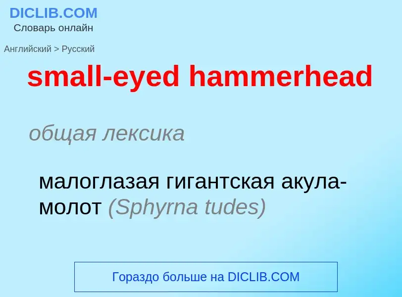 Как переводится small-eyed hammerhead на Русский язык