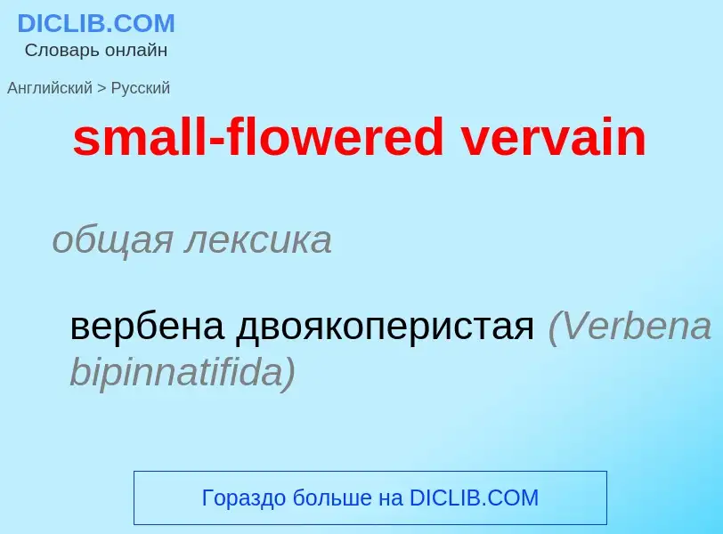 ¿Cómo se dice small-flowered vervain en Ruso? Traducción de &#39small-flowered vervain&#39 al Ruso