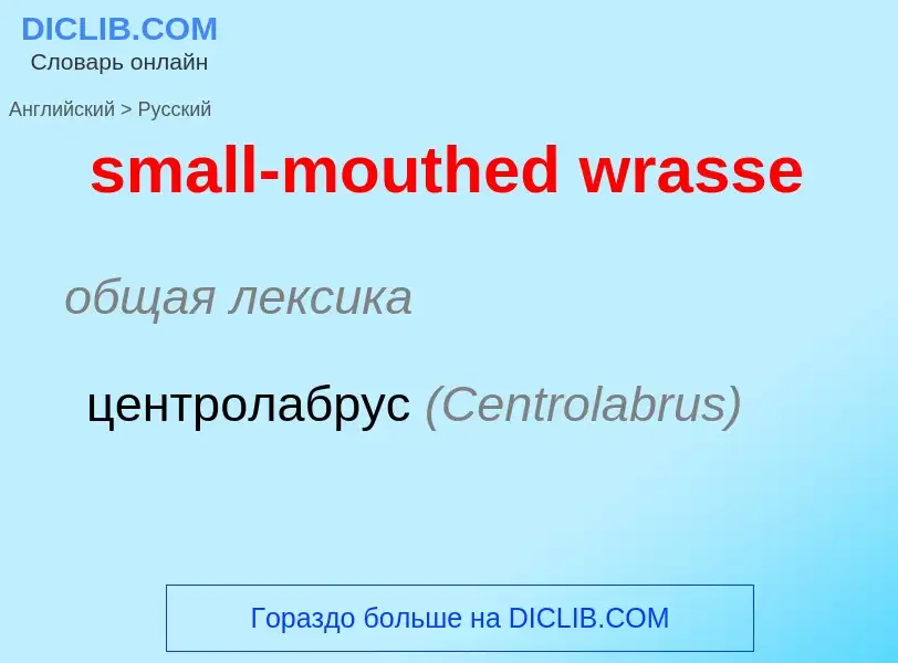 Μετάφραση του &#39small-mouthed wrasse&#39 σε Ρωσικά