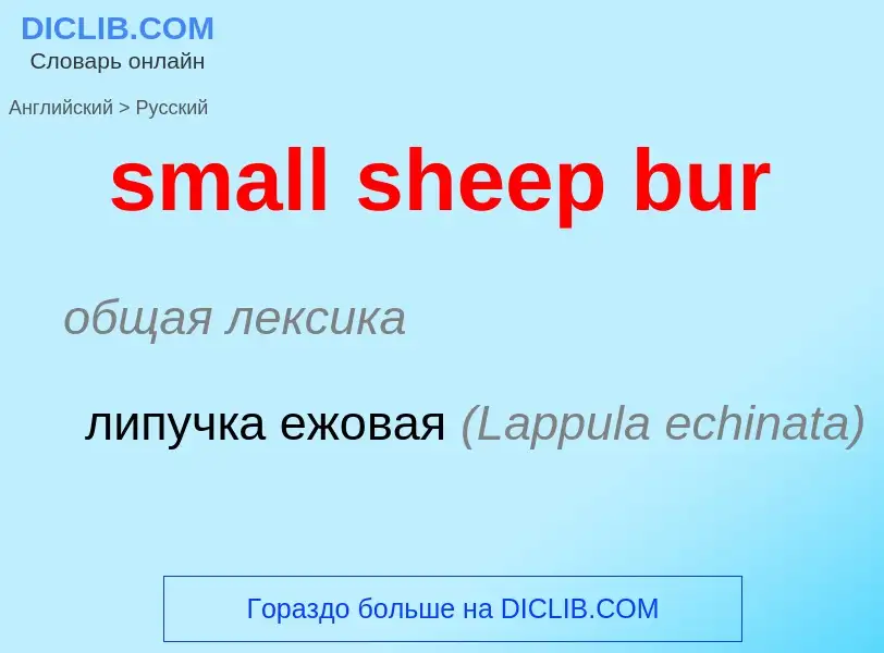 Como se diz small sheep bur em Russo? Tradução de &#39small sheep bur&#39 em Russo