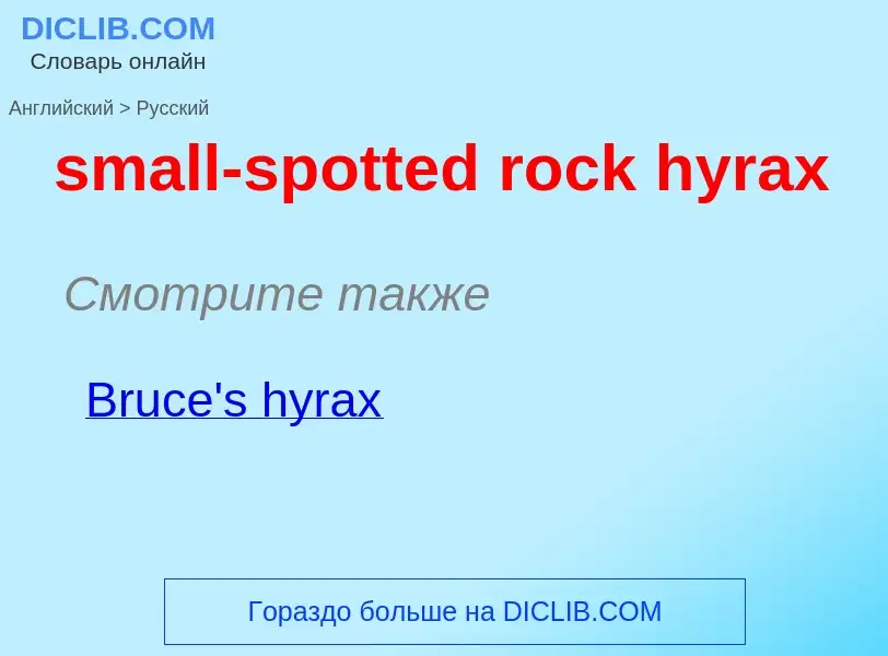 Как переводится small-spotted rock hyrax на Русский язык