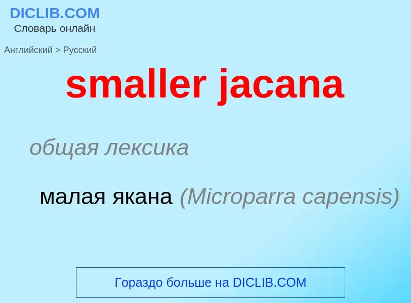 What is the Russian for smaller jacana? Translation of &#39smaller jacana&#39 to Russian