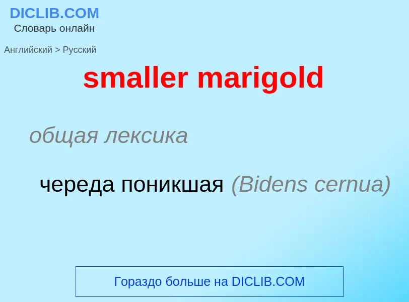 Как переводится smaller marigold на Русский язык