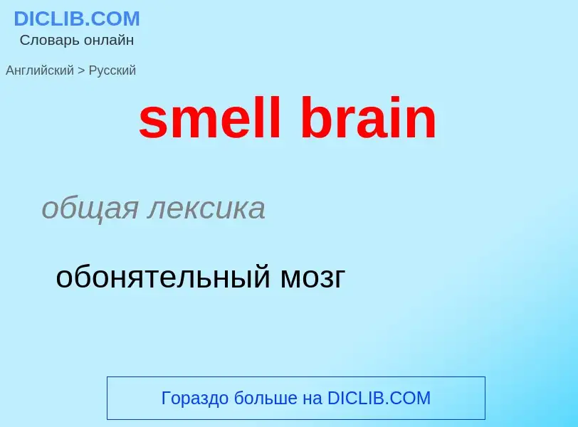 Traduzione di &#39smell brain&#39 in Russo