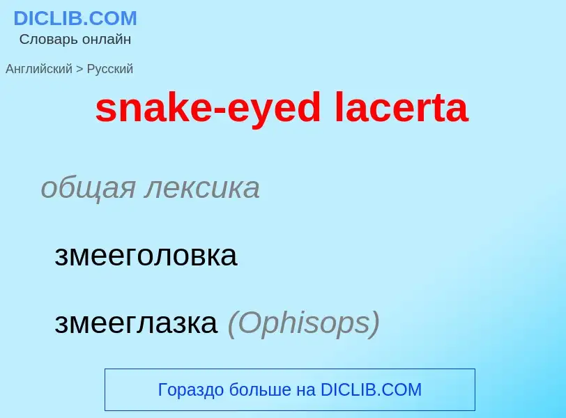 Как переводится snake-eyed lacerta на Русский язык