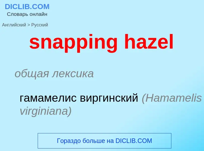 Как переводится snapping hazel на Русский язык