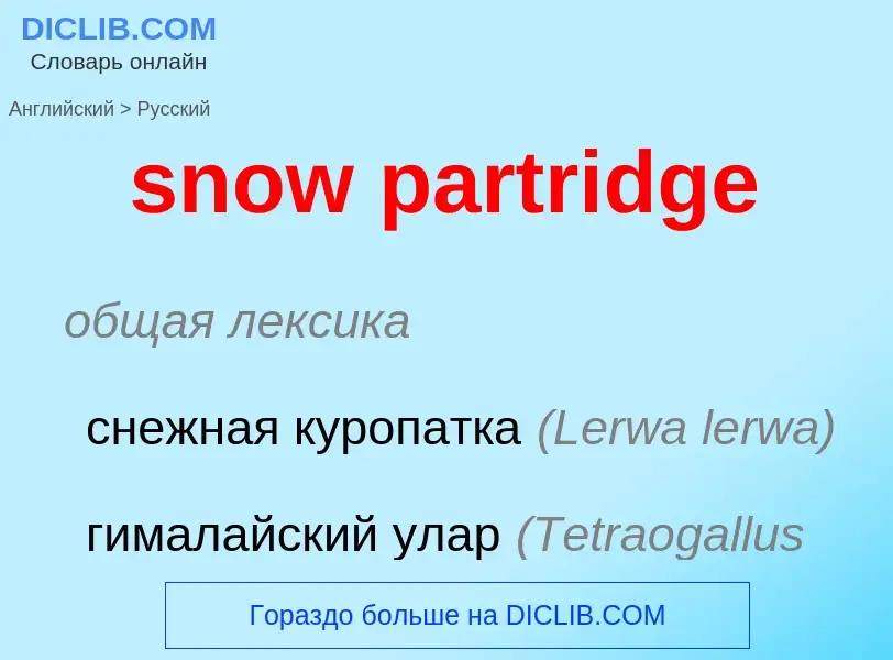 What is the Russian for snow partridge? Translation of &#39snow partridge&#39 to Russian