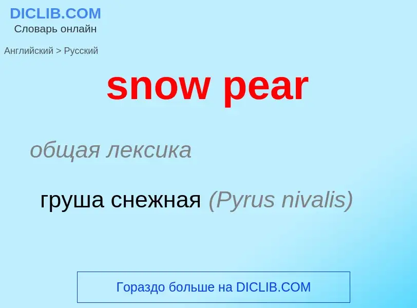 Как переводится snow pear на Русский язык