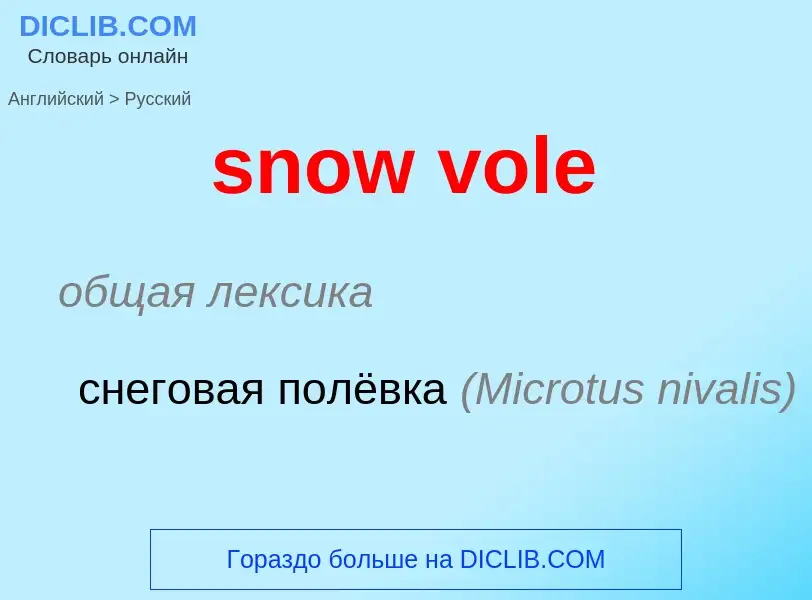 ¿Cómo se dice snow vole en Ruso? Traducción de &#39snow vole&#39 al Ruso