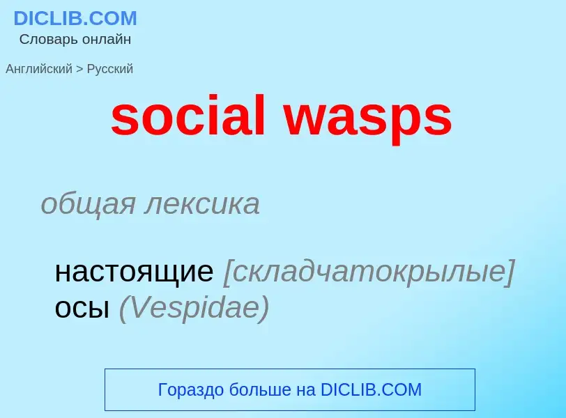 Μετάφραση του &#39social wasps&#39 σε Ρωσικά