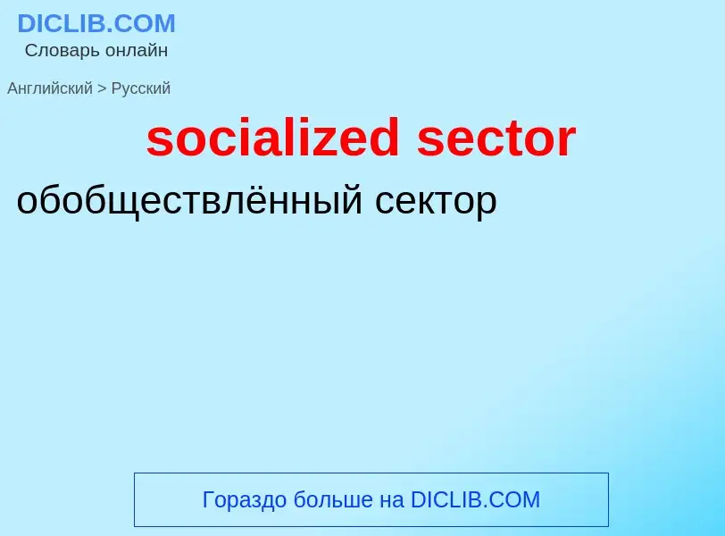 Как переводится socialized sector на Русский язык