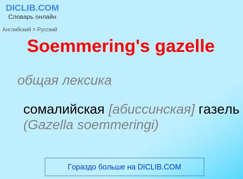 What is the Russian for Soemmering's gazelle? Translation of &#39Soemmering's gazelle&#39 to Russian