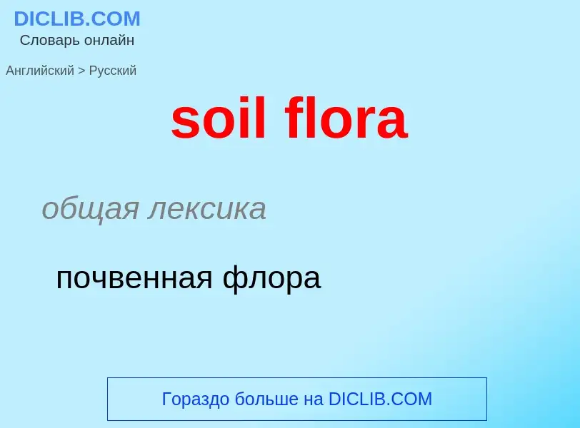 What is the الروسية for soil flora? Translation of &#39soil flora&#39 to الروسية