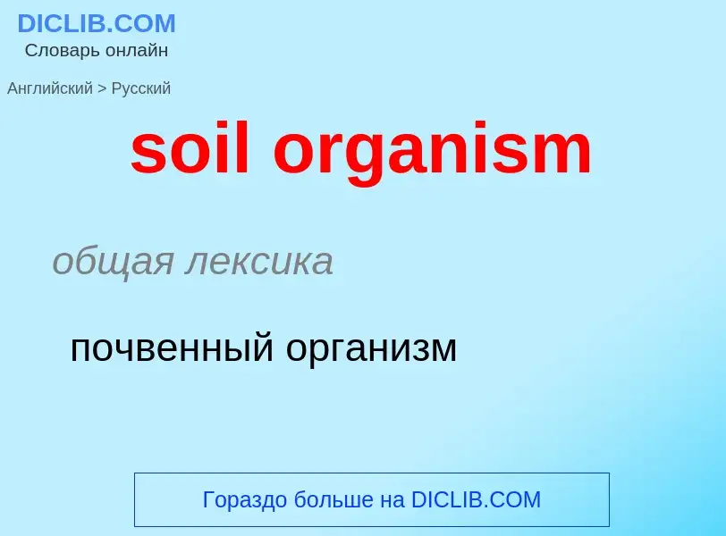 Как переводится soil organism на Русский язык