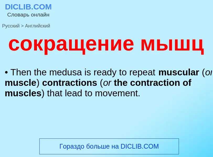 Como se diz сокращение мышц em Inglês? Tradução de &#39сокращение мышц&#39 em Inglês