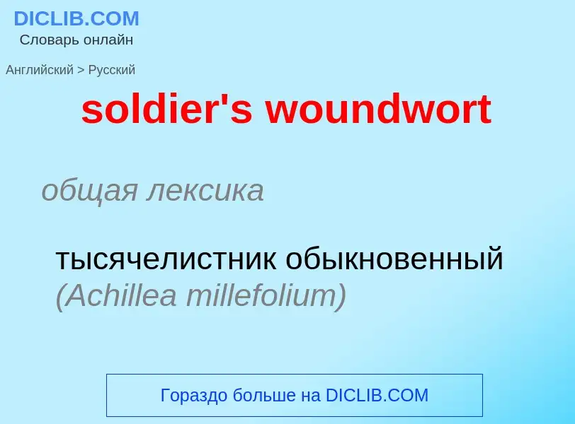 Como se diz soldier's woundwort em Russo? Tradução de &#39soldier's woundwort&#39 em Russo