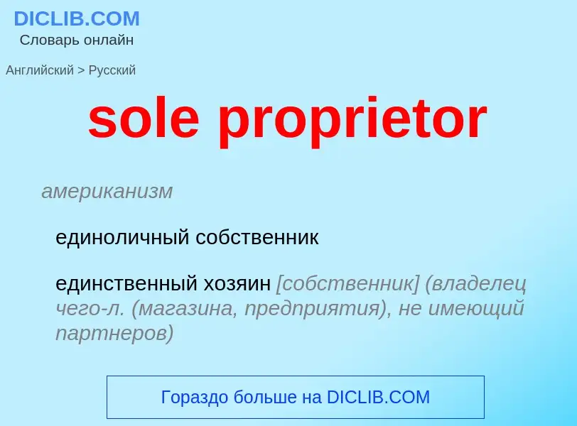 Как переводится sole proprietor на Русский язык