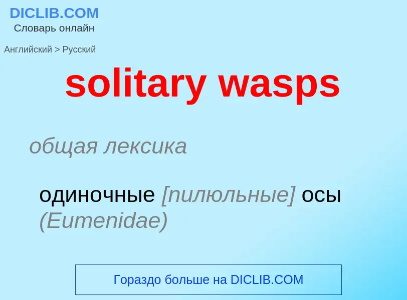 What is the Russian for solitary wasps? Translation of &#39solitary wasps&#39 to Russian