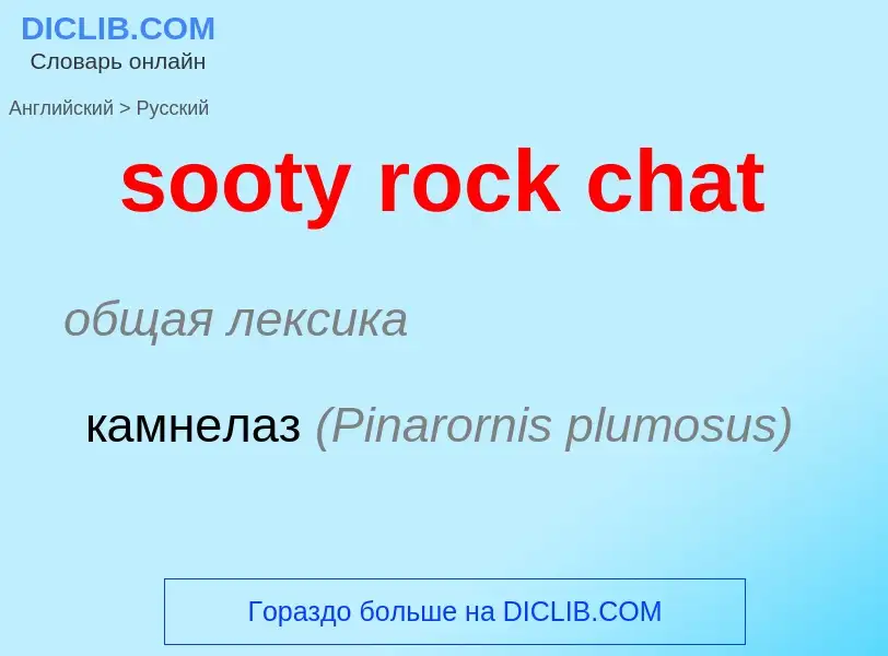 Vertaling van &#39sooty rock chat&#39 naar Russisch